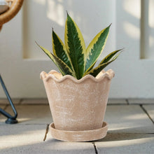 Wave ceramic planter with speckled terracotta glaze, holding green faux leaves