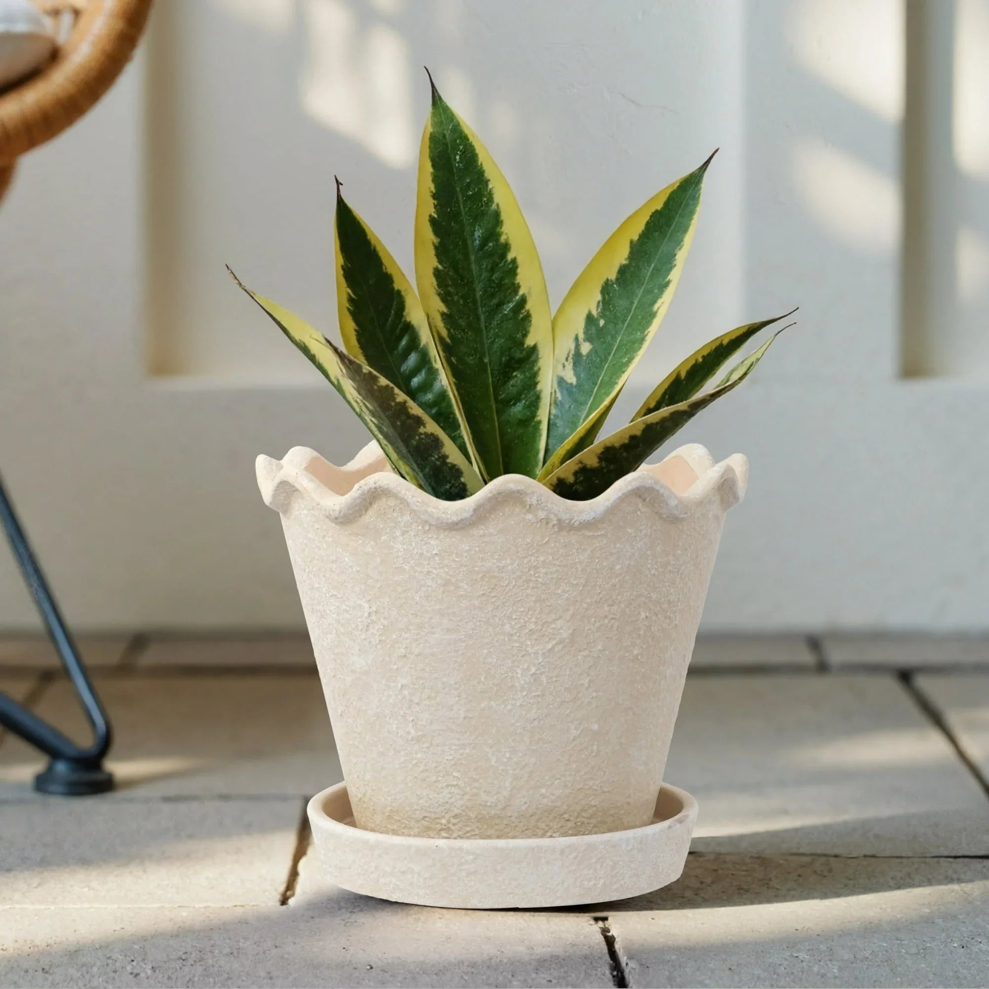 My Texas House 8 inch Ceramic Wave Planter