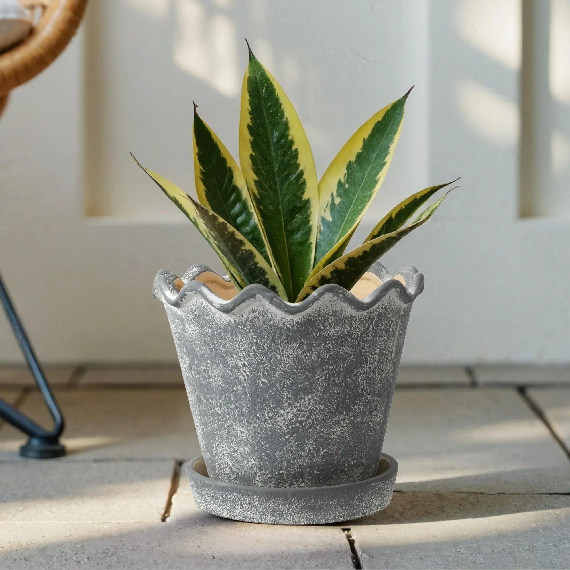 My Texas House 8 inch Ceramic Wave Planter