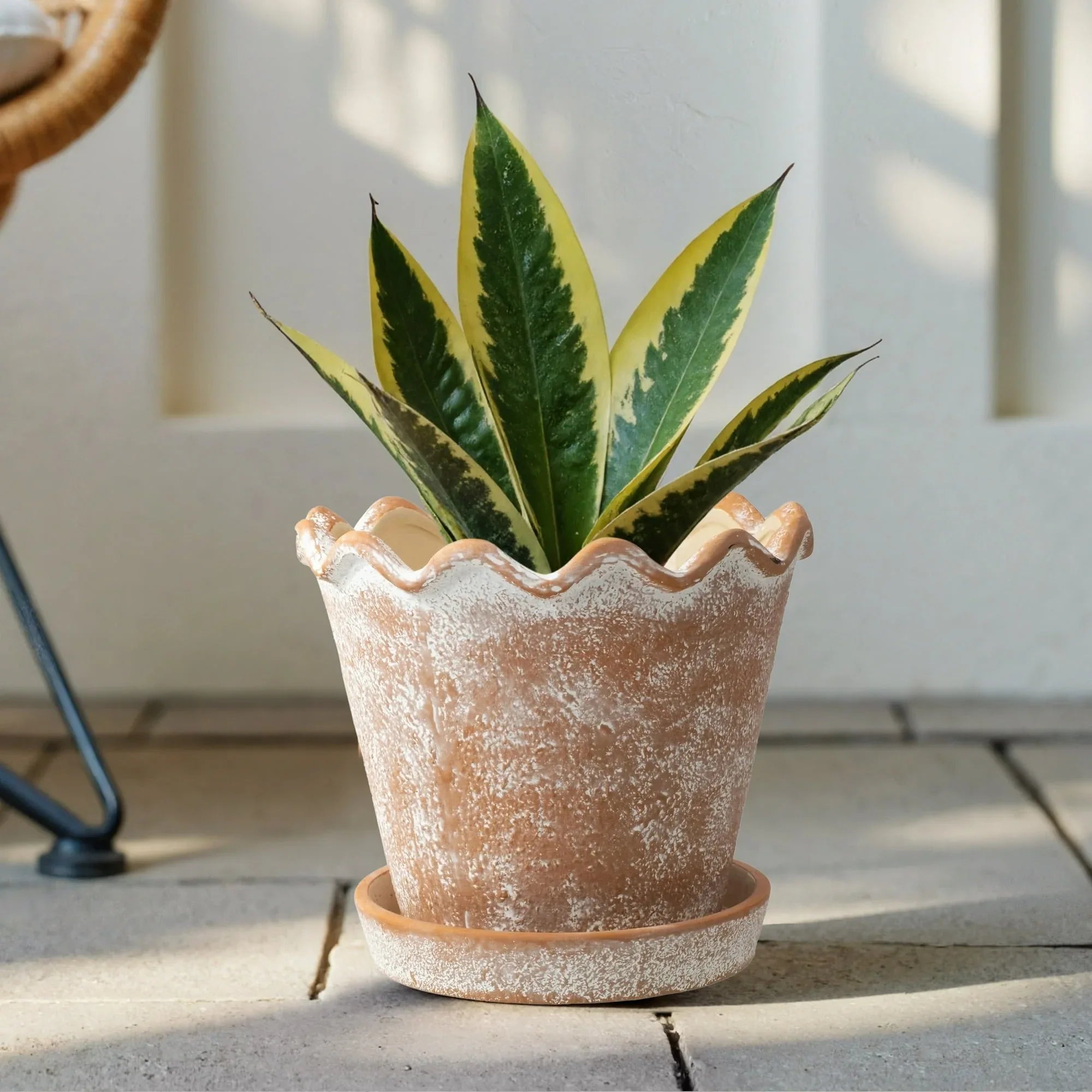 My Texas House 8 inch Ceramic Wave Planter