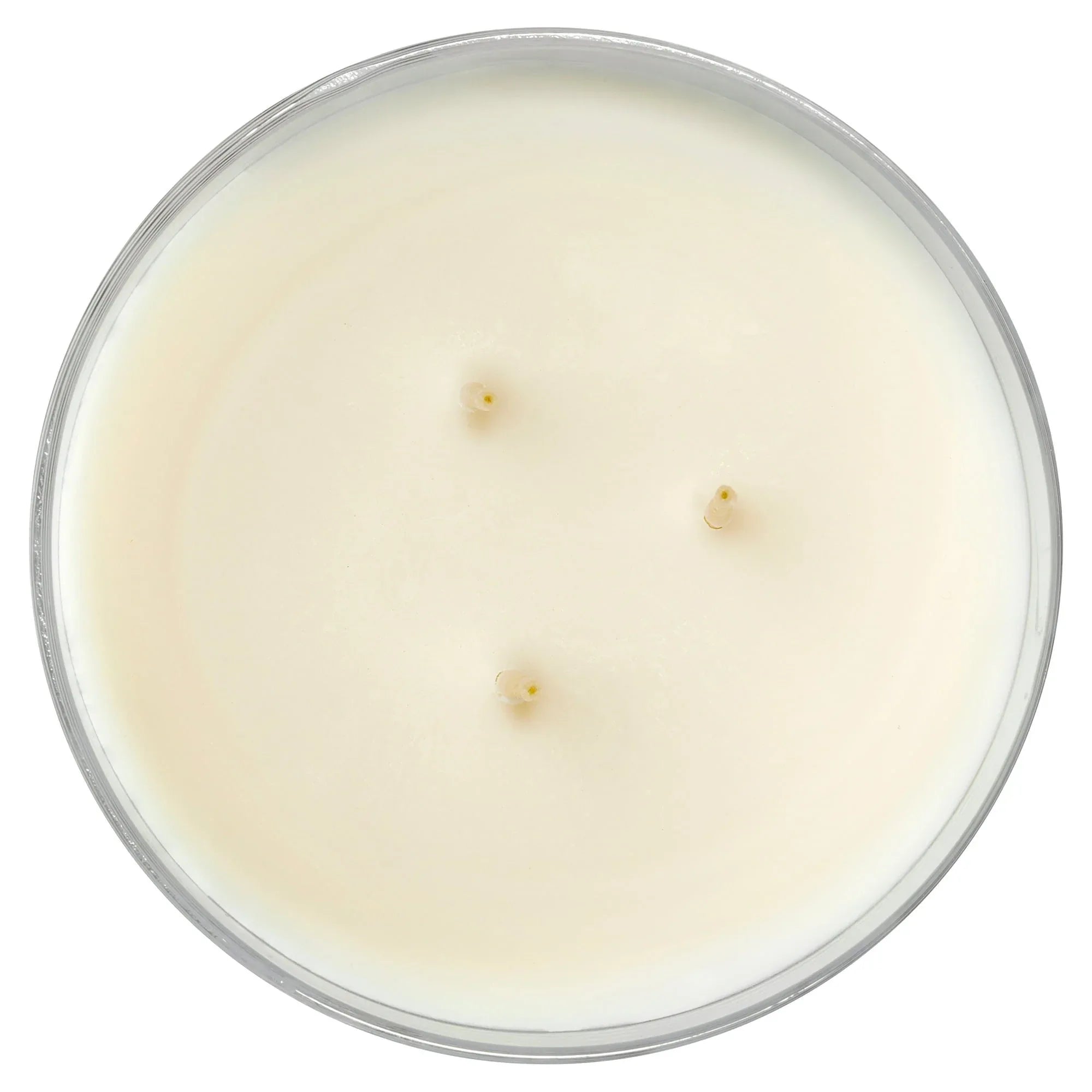 Mainstays 3-Wick Ombre Wrap Cranberry Mimosa Candle, 14-Ounce - USA MEGA SHOP