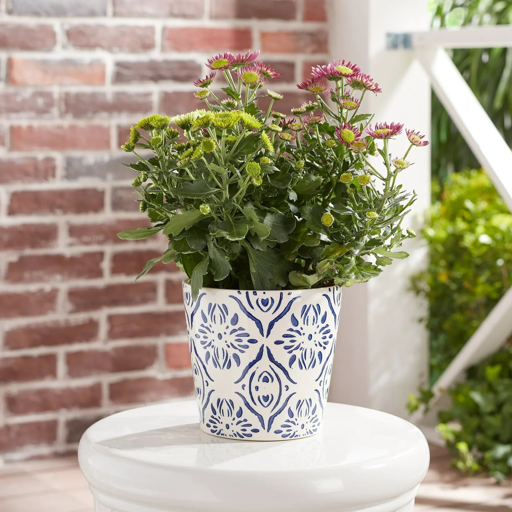 Mainstays 6" x 6" x 5.5" Round Blue Ceramic Medallion Plant Planter
