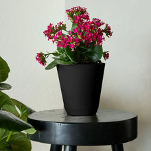 Black resin self-watering planter with a flowering plant on a round table