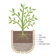 Recycled resin planter cross-section showing plant, soil, gravel, and drainage