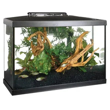 Black rectangular 10-gallon LED aquarium with plants and driftwood inside