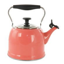 Coral stainless steel tea kettle with black handle and glass lid