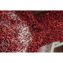 Pile of cranberries with small berries and stems filling the frame