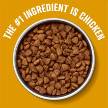 Dog food kibble bowl graphic showing chicken-flavored dry food