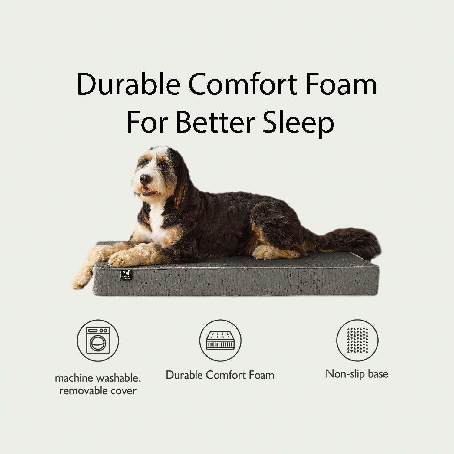 Member's Mark Lounger Pet Bed, 30"x40", Choose Color