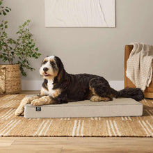 Dog resting on beige pet lounger bed