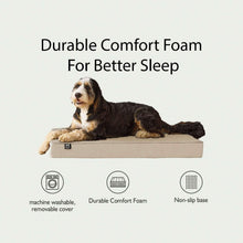 Dog lying on beige pet lounger bed