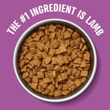 Lamb kibble in a round bowl, showing “The #1 ingredient is lamb”