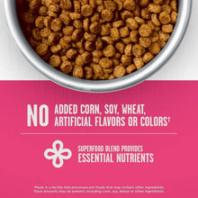 Kibble in a bowl with text stating no corn, soy, wheat, or artificial flavors or colors