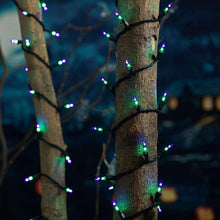 Purple and green mini LED lights wrapped around a tree branch
