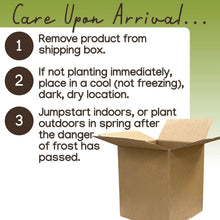 Asparagus care instructions overlay above a cardboard shipping box.