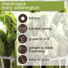 Asparagus planting info card with green asparagus photo and icons for growing details.