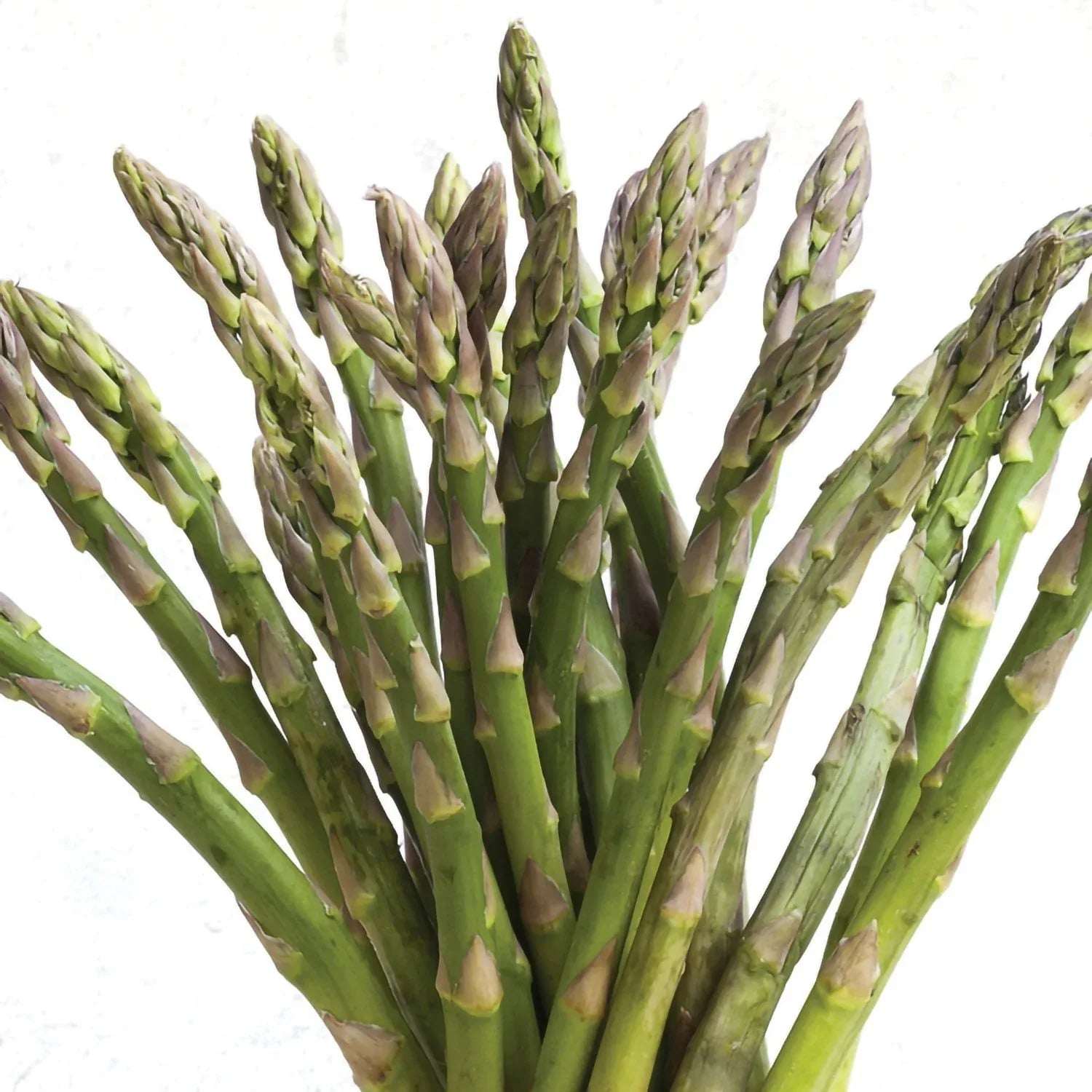 Member's Mark Asparagus Mary Washington, 24pk