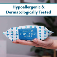 Hypoallergenic flushable wipes pouch, blue-and-white pattern, single pack held