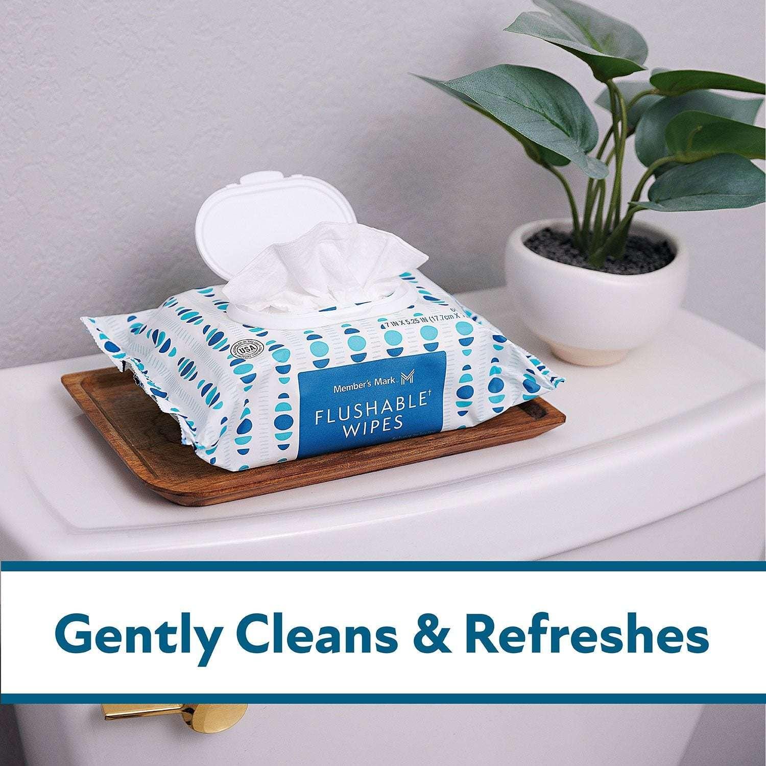 Member's Mark Flushable Wipes, Fresh Scent, 540 ct. - USA MEGA SHOP