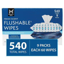 Flushable wipes box with fresh scent, 540 total wipes, 9 packs, blue and white
