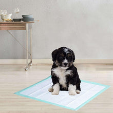 Multipurpose absorbent pad on floor under small black-and-white puppy