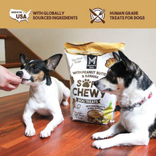 Soft & Chewy dog treat bag with two dogs posing on hardwood floor