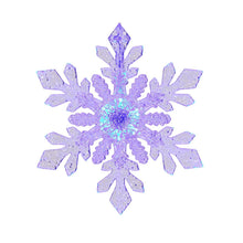Member's Mark 18' Color Sync Snowflake Lights