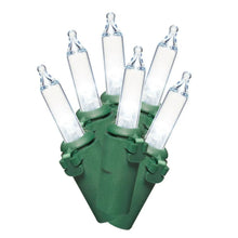 LED mini lights set with multiple clear bulbs on green plug strip