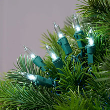 LED mini string lights with clear bulbs and green sockets, glowing
