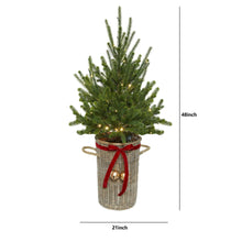 Member's Mark 48" Pre-Lit Topiary in Woven Basket