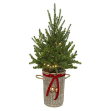 Member's Mark 48" Pre-Lit Topiary in Woven Basket
