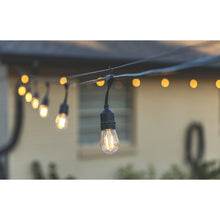 Outdoor café string lights with warm LED bulbs and black sockets, hanging overhead