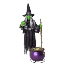 Member's Mark 6.5' Pre-Lit Animated Floating Witch