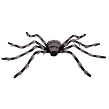Member's Mark 6' Pre-Lit Oversized Spider