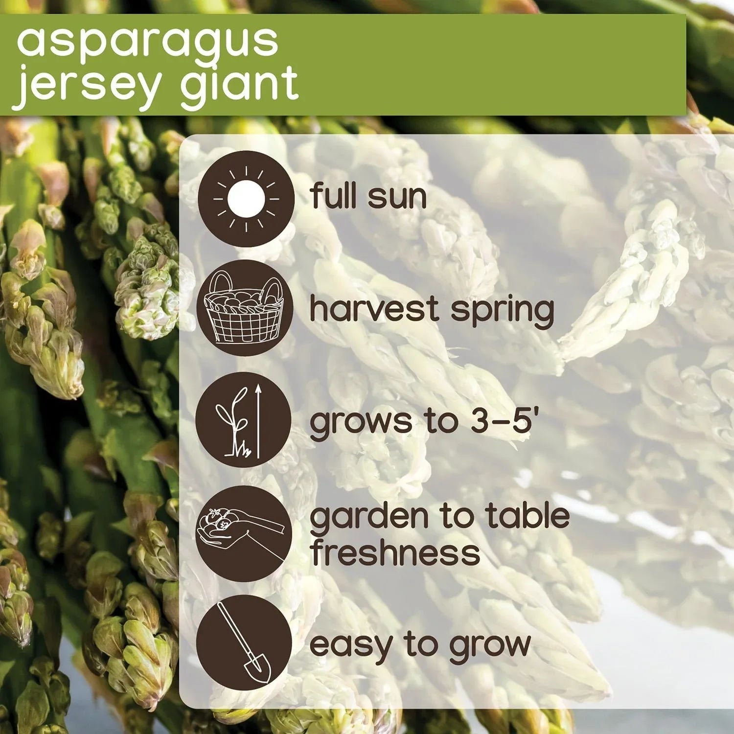 Member's Mark Asparagus Jersey Giant, 14pk