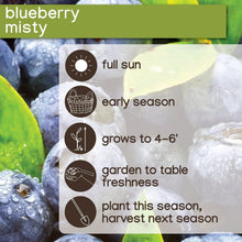 Blueberry variety info card for blueberry misty with sun and harvest icons