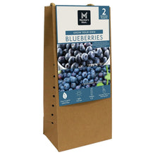 Blueberry plant starter kit in cardboard box with window label and rope handle