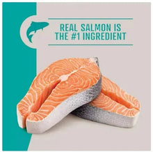 Dry dog food label showing real salmon fillets and #1 ingredient claim