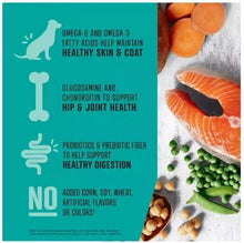 Dog food benefits panel with omega-6 and omega-3, plus salmon pieces