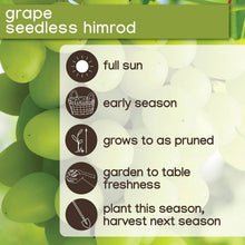 Seedless grape planting icon guide card showing sun, timing, and growing steps