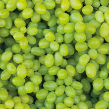 Close-up of green seedless grapes on a bunch