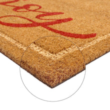 Member's Mark Holiday Coir Doormat