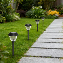 Solar path lights along garden walkway, black stakes with clear domes