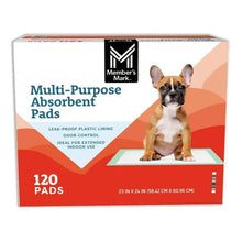 Member's Mark multi-purpose absorbent pads box with dog and 120 pads info