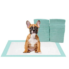 Stacked teal-edged absorbent pads with white centers