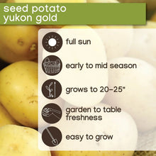 Seed potato growing guide for yukon gold, showing sun and harvest icons