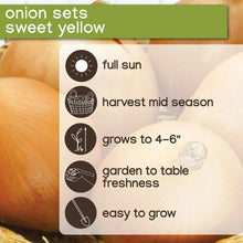 Onion set growing guide for sweet yellow, showing sun and harvest icons
