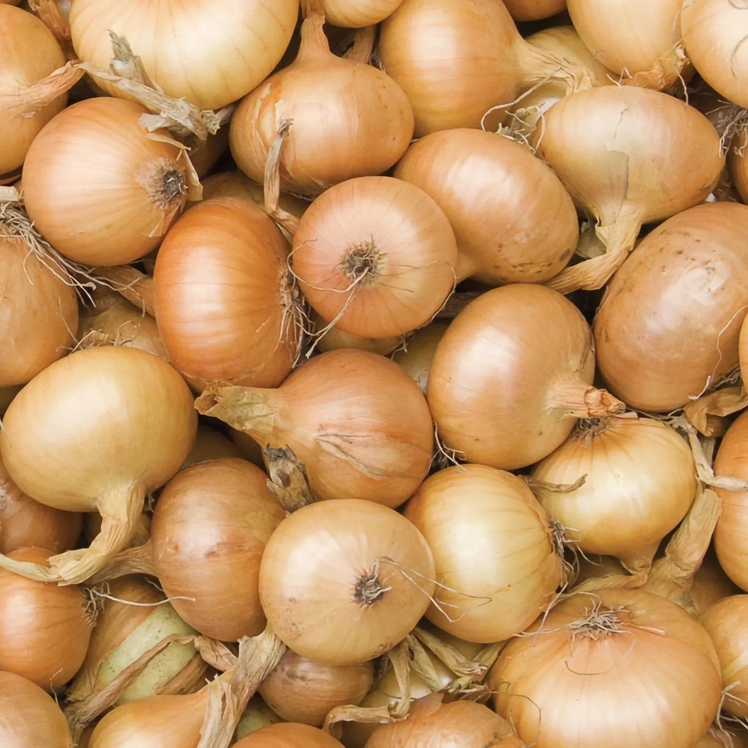 Member's Mark Onions & Potatoes, 72pk