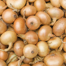 Cluster of yellow onions with papery skins and dried roots