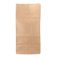 Brown paper lawn and leaf bag, plain bag without visible label
